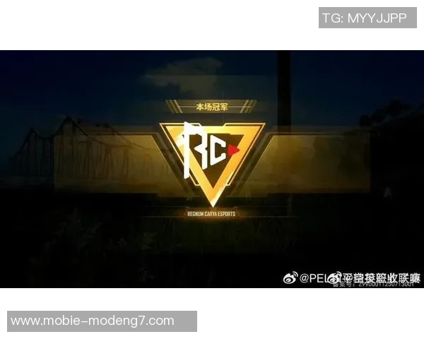 世界杯新闻和平精英战术排名分析IG战队表现创新高引发热议 世界杯新闻和平精英战术排名分析IG战队表现创新高引发热议